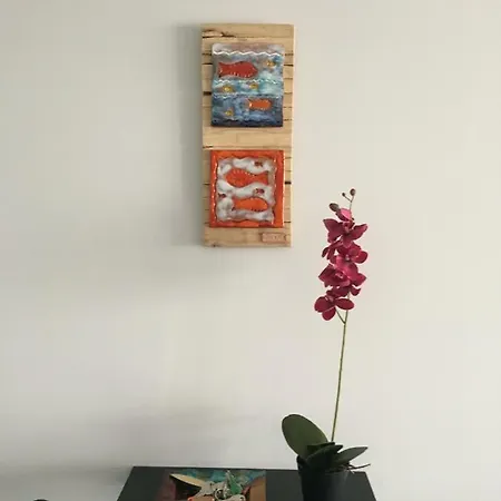 Life Villaverde (Fuerteventura)