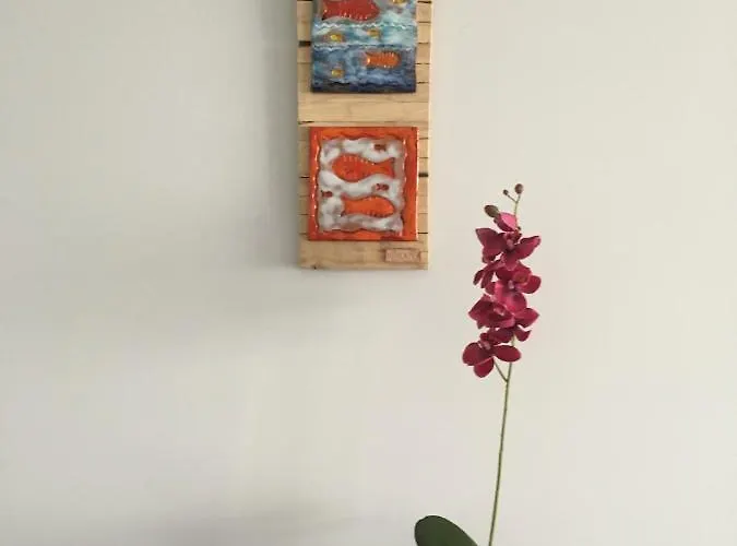 Life Villaverde (Fuerteventura)