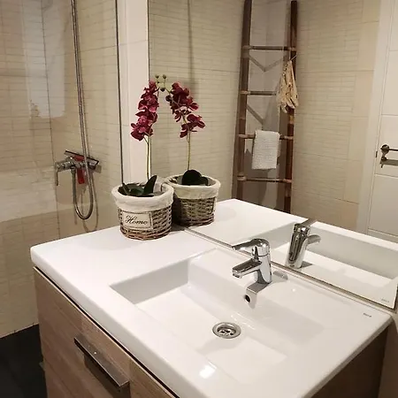Life Apartment